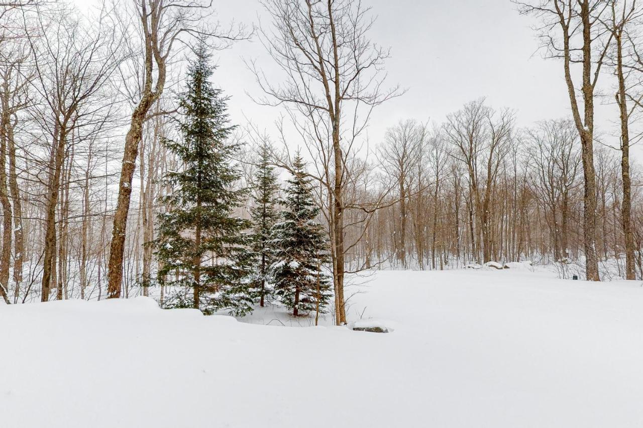 Jay Peak Village Home 367B Εξωτερικό φωτογραφία